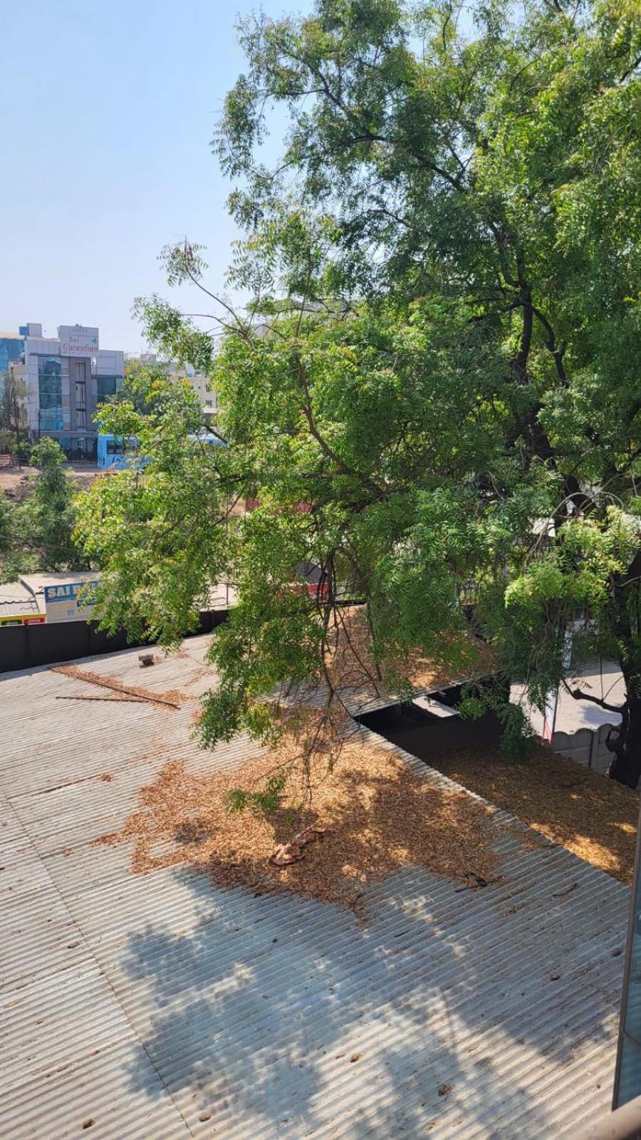 שירדי Hotel Sachidanand מראה חיצוני תמונה